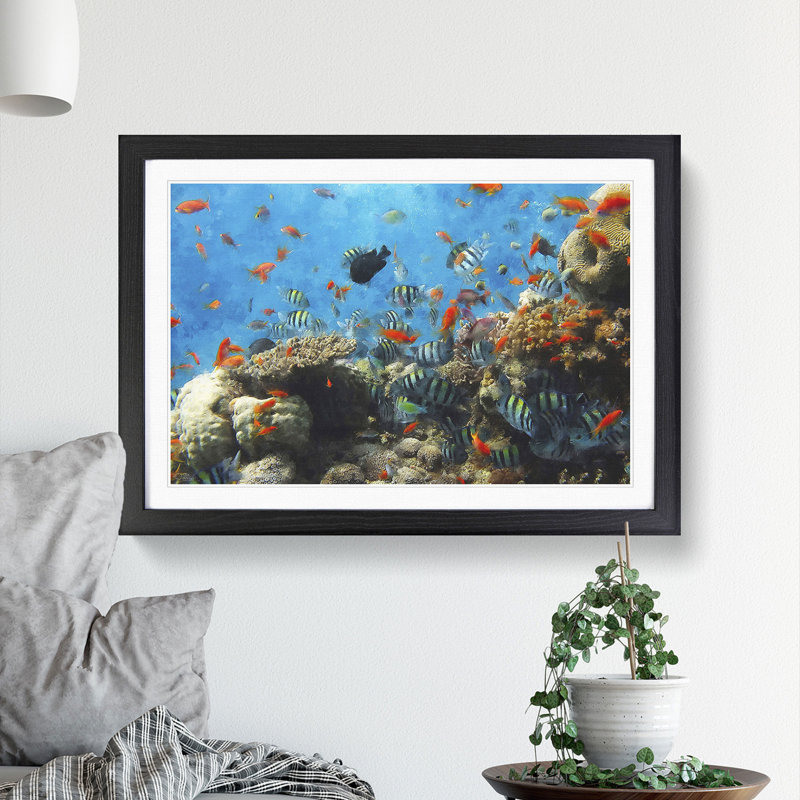 Coral Reef and Fish Vol.2 - Picture Frame Graphic Art, 27cm H x 36cm W x 2cm D, Black Framed