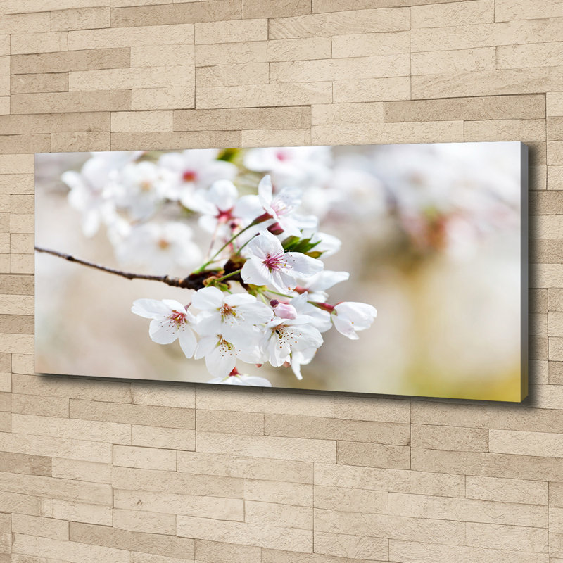 Cherry Blossoms - Wrapped Canvas Print