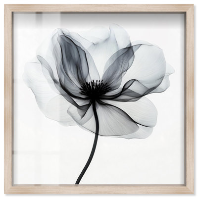 «Midania I Shadowbox Print», art floral bleu par Art Remedy