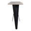 Bird 68'' W Solid Wood Console Table
