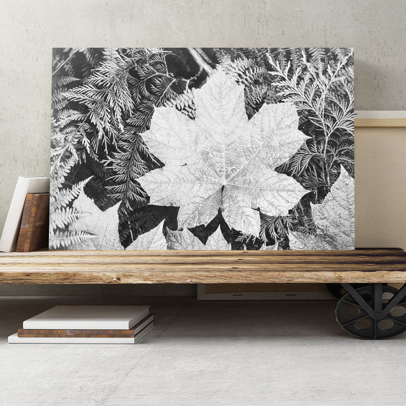 Ansel Adams - Wrapped Canvas Print, 40cm H x 60cm W