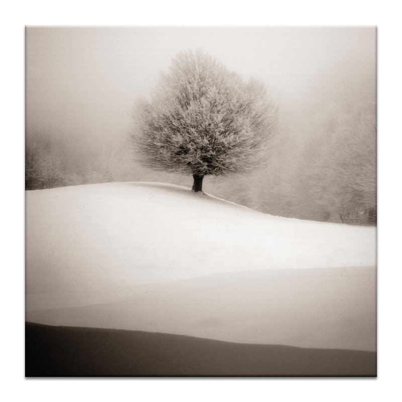 Print on Canvas, Wrapped Canvas, 102cm H x 102cm W
