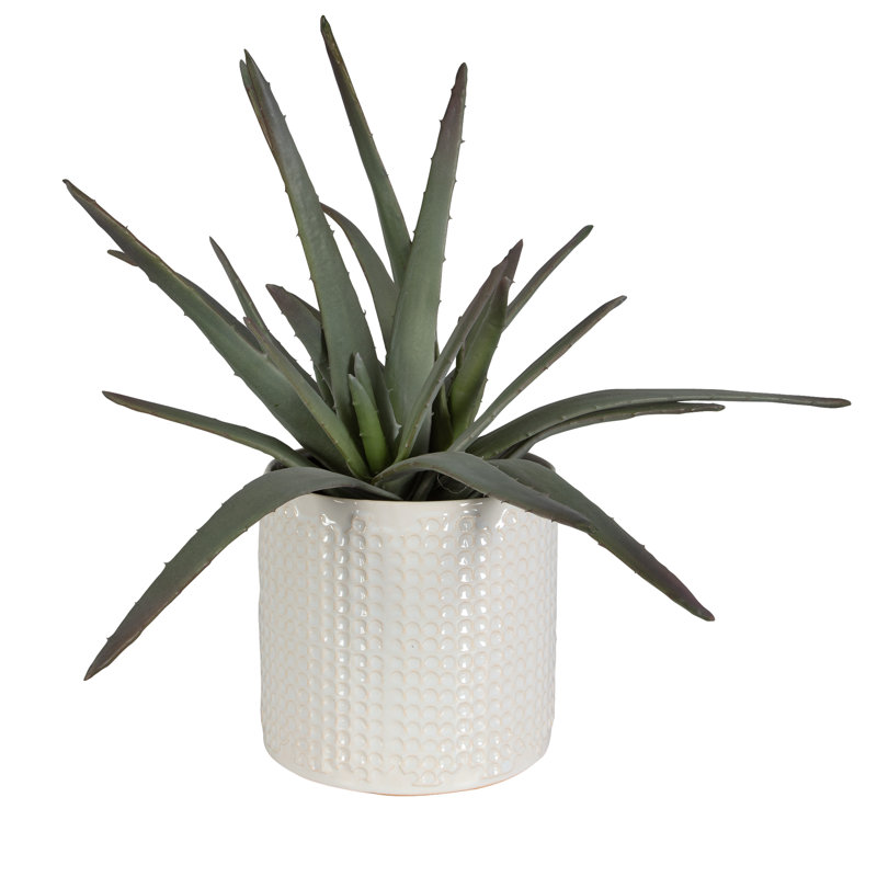 19'' Faux Aloe Plant in Ceramic Pot