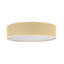 Magno Flush Mount