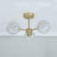 Aamira Glass Semi Flush Mount-1697668118