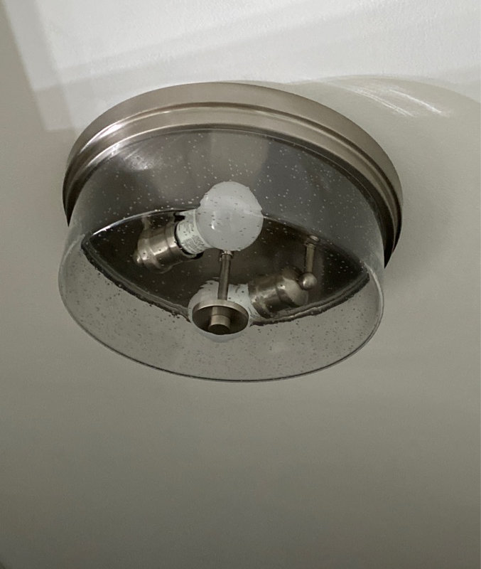 Customer review by David