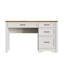 Executive Desk With Storage And Ample File Drawer-587472116