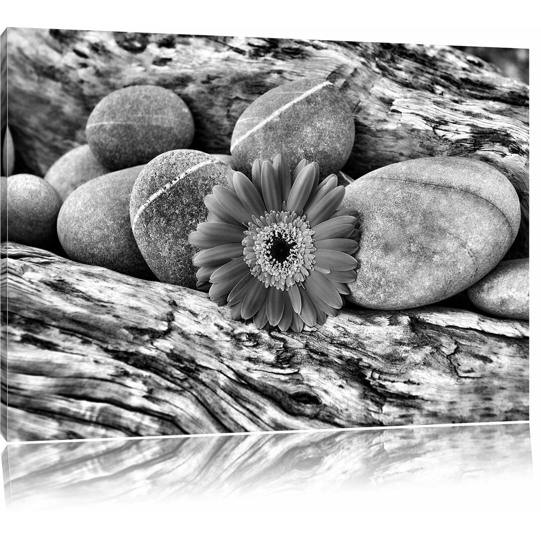 Leinwandbild Orangefarbene Gerbera zwischen Zen Steinen in Monochrom