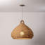 Lechlan 1 Light Pendant-1333587802