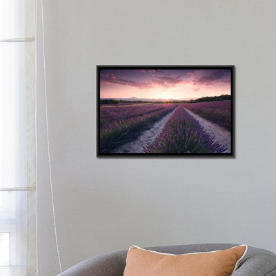 " Lavender Dream " by Stefan Hefele