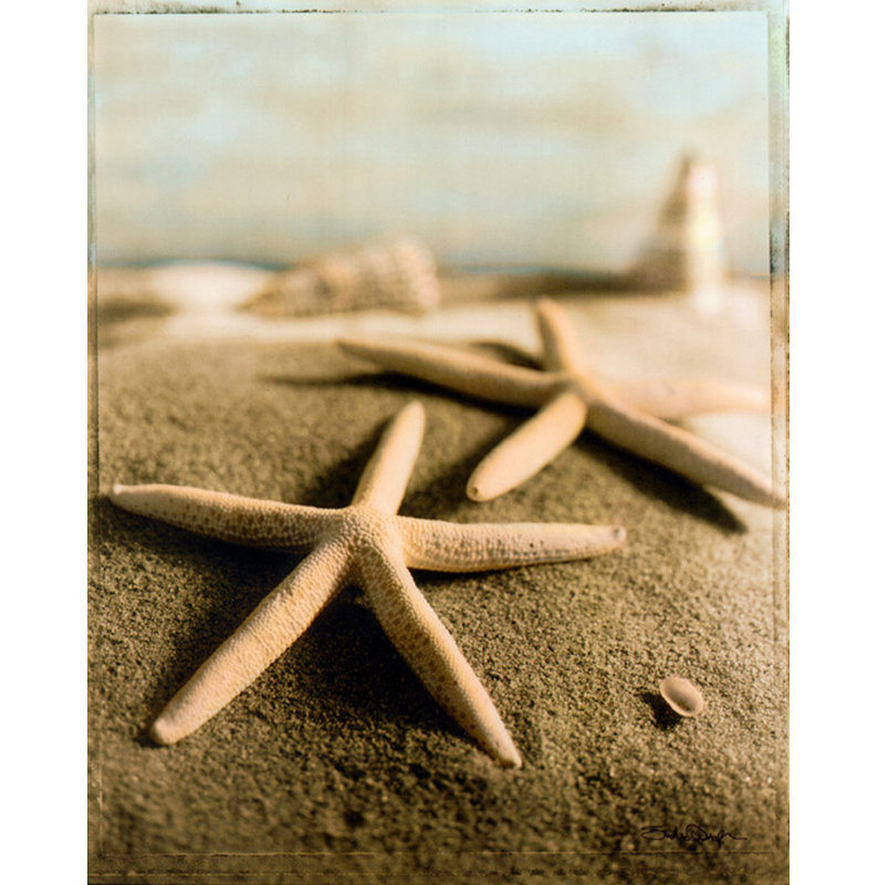 Coquillage IV, H 35 po x l 28 po