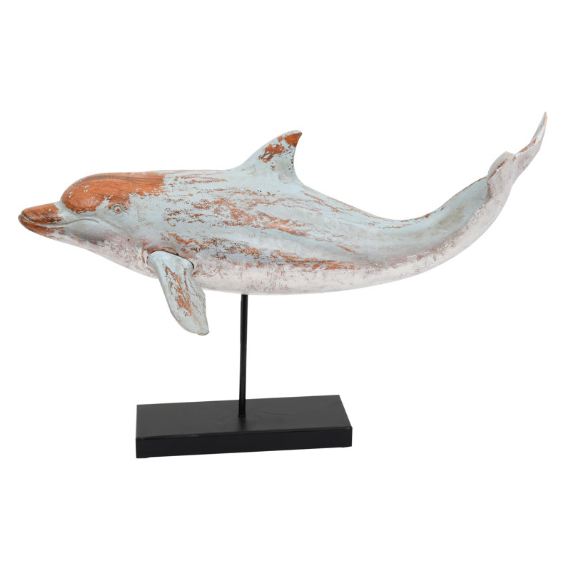 Dauphin nageur sur pied