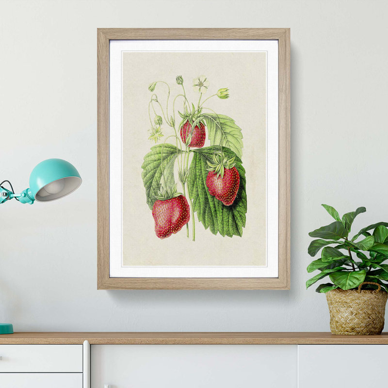 Illustration of Strawberries - Framed Print, Oak Framed, 36cm H x 27cm W x 2cm D