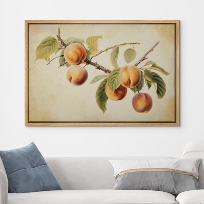 Fruits " Print Peach Fruit Watercolor "