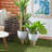 Pot Planter
