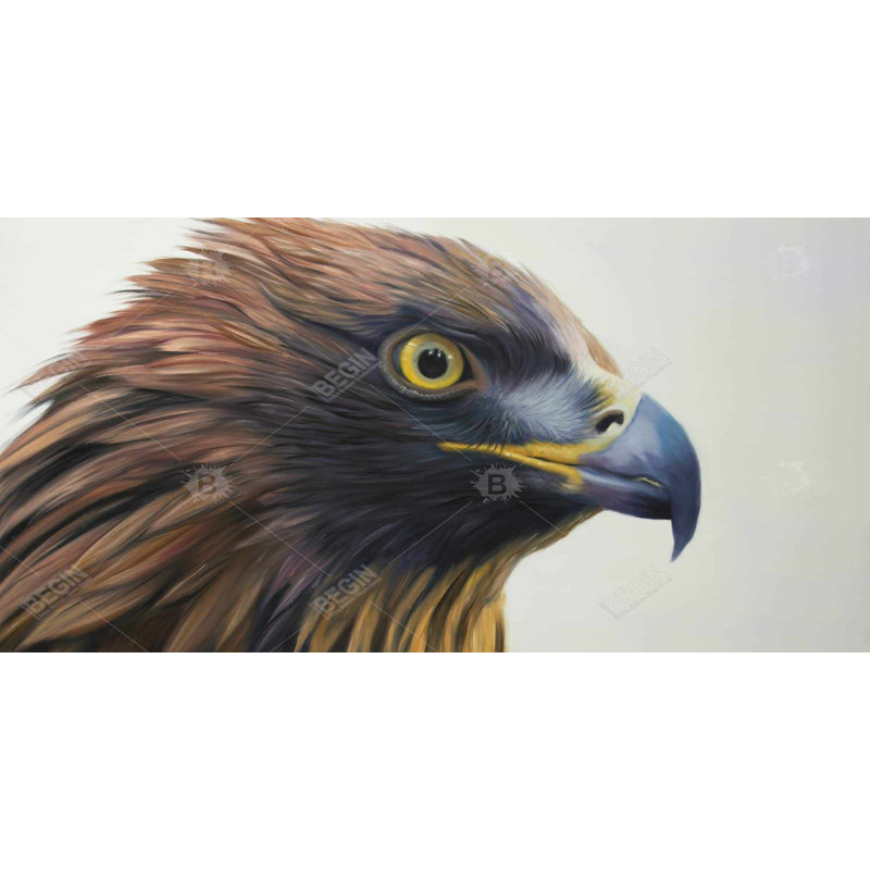 Brown-headed eagle - 15.75"x31.50" Desk mat