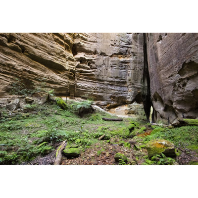Carnarvon Gorge by Uwe-Bergwitz - Wrapped Canvas Print