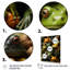 Toads Family, reproduction d'art sur toile-1690004799-1690004797