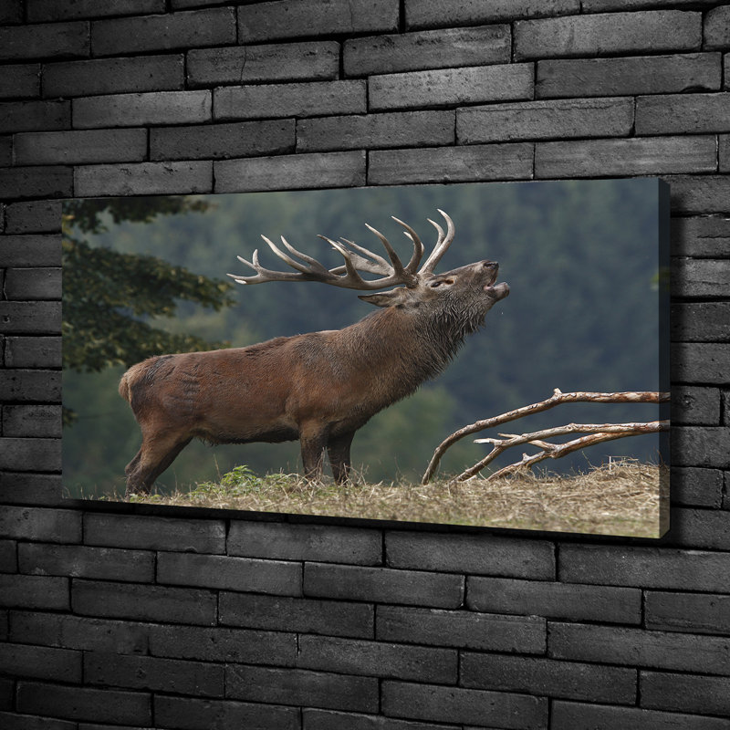 Deer on the hill 1 Piece Wall Art on Canvas