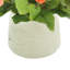 Arrangement floral bégonia-813824251-919626804