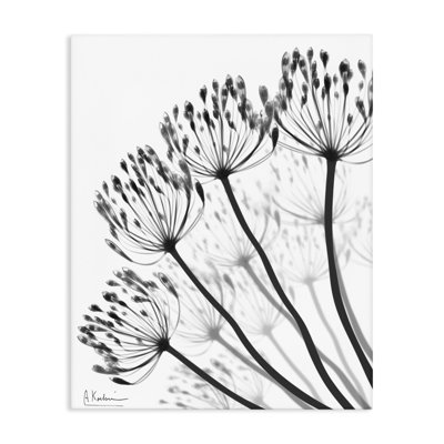 Floral Fan Dandelions Canvas, design by Albert Koetsier