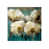 Outdoor selected