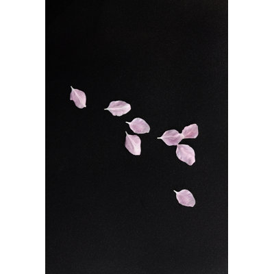 Tree Blossom Petals - Wrapped Canvas Print