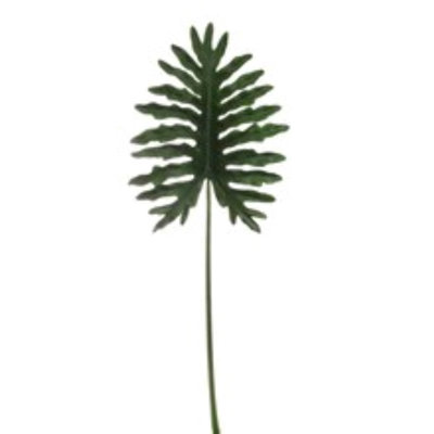 Faux Philodendron Philodendron Selloum