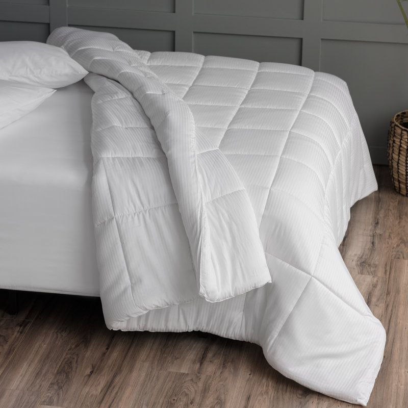 Édredon en duvet de coton de qualité égyptienne Martha Stewart, Très grand