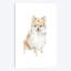 «Pomeranian», reproduction sur toile-31291198-73203469-73203464