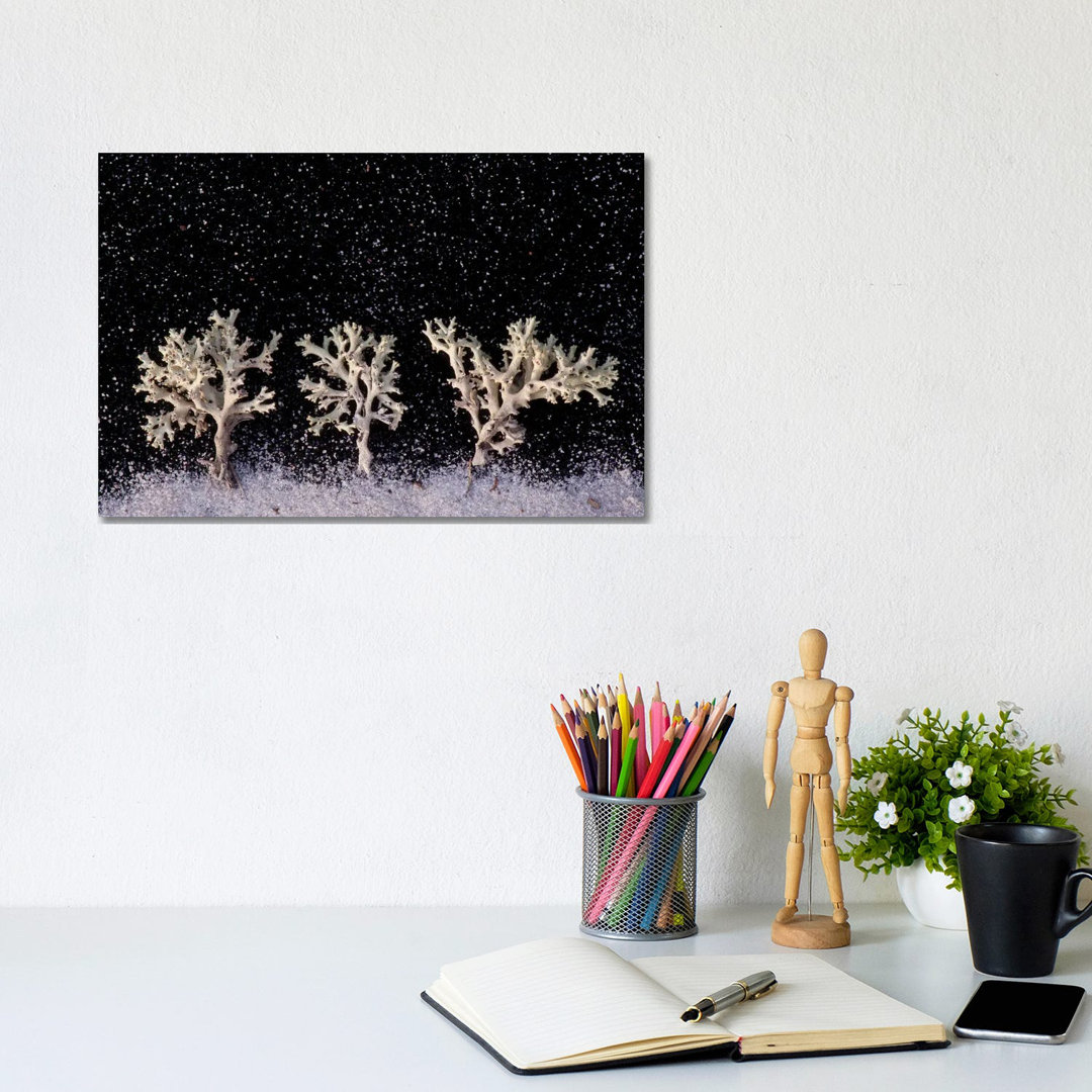 Perforate Reindeer Lichen Appear As White Trees Under Snowfall von Joel Sartore - Gallery-Wrapped Canvas Giclée on Canva...