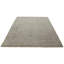 Oriental Area Rug