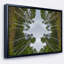 «Circle Composition of Coniferous Trees», reproduction de photo sur toile tendue encadrée-26694569