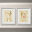 « Antique Botanical sketch VI », ensemble de 2 reproductions d’art graphique encadrées sur papier
