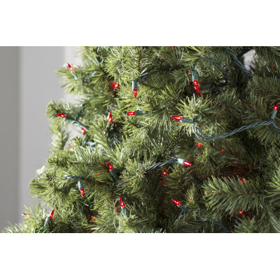 50.5' 100-Light String Lights