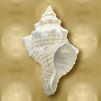 " Ocean Gem On Gold I " by Caroline Kelly