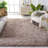 Hermina Mushroom Area Rug-1455659954