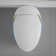 Smart Toilet with Bidet Built In, Intelligent One Piece Toilet , Auto Open/Close Seat Foot Sensor