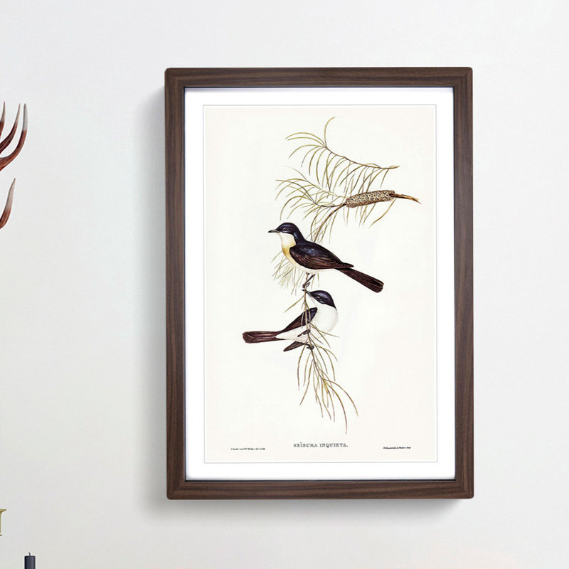 Restless Flycatcher Birds by Elizabeth Gould - Picture Frame Painting Print, Walnut Framed, 65cm H x 48cm W x 2cm D