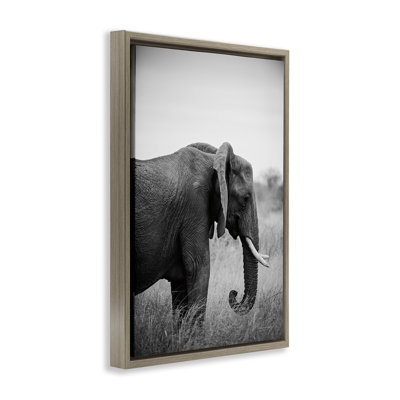 Side Profile Elephant Framed Floater Canvas by Sharon Vardy