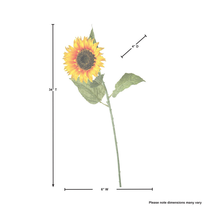 Sunflower Stem