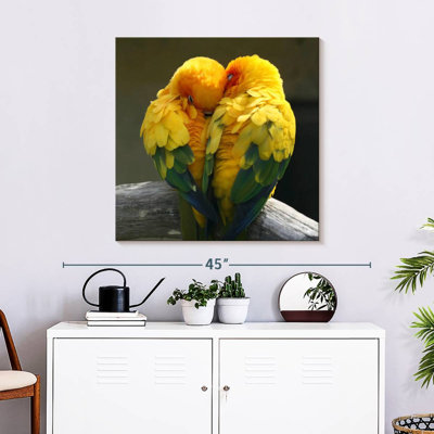 Brampt Lovebirds Snuggle
