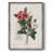 Pervenche Framed Print - Solid Wood-882092772