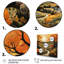 Countryside Autumn Orchards Painted II - Landscapes Wall Art Prints-2033299251-2033299255
