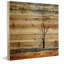 «Landscape & Nature Tree Stands Alone» par Parvez Taj - impression sur bois-1515923820