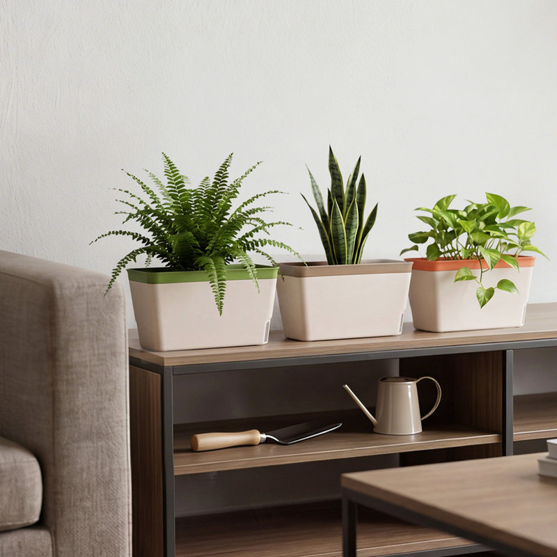 Plant Stand