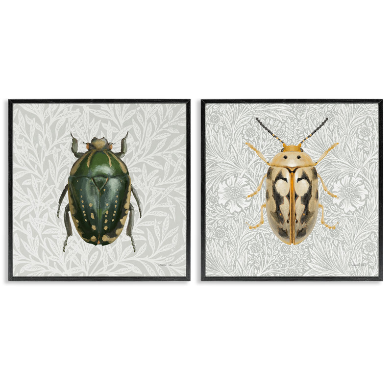 «Beetle Insect Portrait», ensemble de 2 giclées par Danhui Nai, Giclée encadrée noir minuit, H 17 po x l 17 po