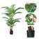 Adcock 2 - Piece Artificial Palm Tree in Pot Set, Faux Plant, Fake Tree for Home Decor