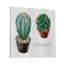 Haworthia Rufescens I - impression sur toile tendue-1634177972