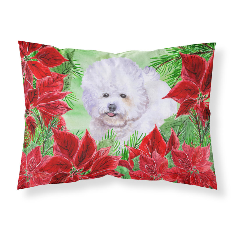 Microfiber, Bichon Frise